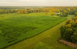 5492 Cedar Lane, Reeds, MO 64859