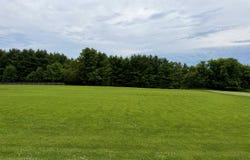 County Route 14, Madrid, NY 13660