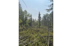 W M-134 Hwy, Hessel, MI 49745