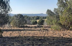 Martinez, Williams, AZ 86046