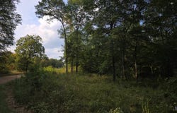 101-H 4272, Rattan, OK 74562