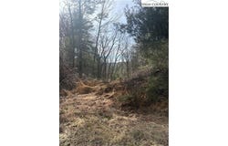 Hollyknoll Rd. Lot #49 & 50, Glade Valley, NC 28627