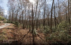 Cullowhee Forest Road lot: 47, Cullowhee, NC 28723