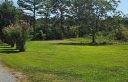 1327 COUNTY ROAD 65, Winfield, AL 35594