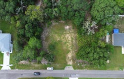 106 GUAVA Pass, OCKLAWAHA, FL 32179