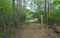DOGTOWN Rd, Carbon Hill, AL 35549