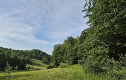 N Crossover Drive lot: A, Bellaire, MI 49615