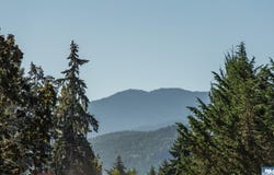 160 Lorraine Dr, Sequim, WA 98382