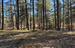 Venado, Chama, NM 87575