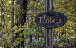 W TIMBER LANE, EMPIRE, MI 49630