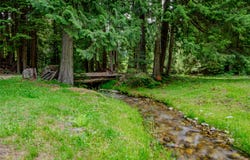 214 Mountain View Drive, Troy, MT 59935