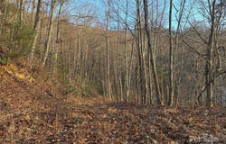 899 Hyacinth Drive, Clyde, NC 28721