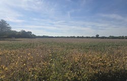 Marshall Road, Coldwater, MI 49036
