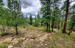 253 Aspen Circle, South Fork, CO 81154