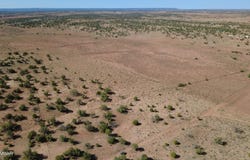 Wicked Sisters Way 38ac, Concho, AZ 85924