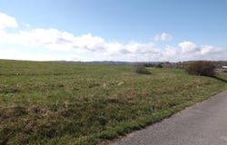 Canary Lane lot: 32/33, Speedwell, TN 37870