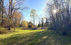 159 Kreiger Drive, Skandia, MI 49885