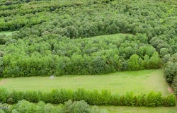 3431 Old Reagan Road, Sardis, TN 38371