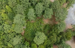 179 Coffee Tree Trail, Broken Bow, OK 74728