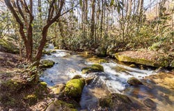 205 Rocky Bottom Road, Sunset, SC 29685