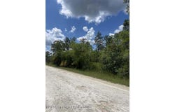 Parrot Road N, Weeki Wachee, FL 34614