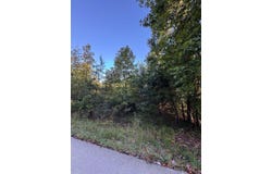Turkey Ridge Road lot: 51, Wellington, KY 40387