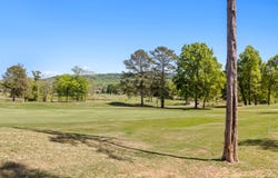 649 Wisley Way, Ringgold, GA 30736