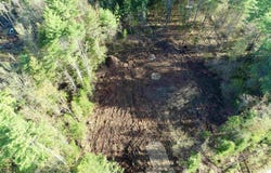 Gray Fox Road, Effingham, NH 03882