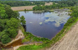 8116 Highway 393, Laurel Hill, FL 32567