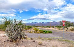 N Desert Sage Rd, Fort Thomas, AZ 85536