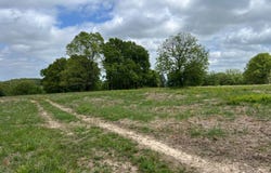 Co Rd 321 Route 5, Ava, MO 65608