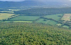 26 Acres Co Rd 170, Stevenson, AL 35772