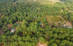 1875 CR 1577, Hughes Springs, TX 75656-0000