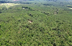Corbett Road, Winfield, AL 35594