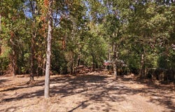 CR 474, Lindale, TX 75771