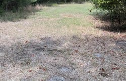 TBD E Moss Street, Malakoff, TX 75148