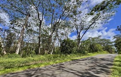 KAUAI RD, Pahoa, HI 96778