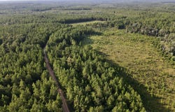 Highway 63, Leakesville, MS 39451