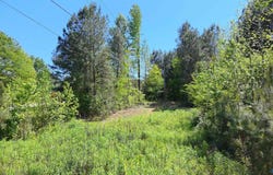 4049 Bethsaida Road, Boaz, AL 35957