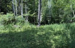 362 Mero Road, Vershire, VT 05079