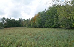 130th Avenue, Milaca, MN 56353