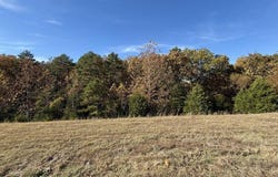 Hwy 63, Houston, MO 65483