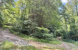 Buck Horn Fork, Bomont, WV 25030