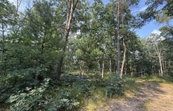2668 W Moonflower, Baldwin, MI 49304