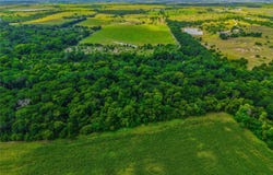 524 County Road 453, Troy, TX 76579