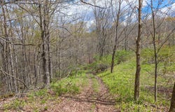 L25 Fuller District Road, Jefferson, NY 12093