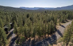 924 Dancing Bears, Portola, CA 96122