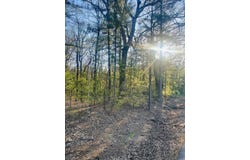 Hoover Lane, Monticello, AR 71655