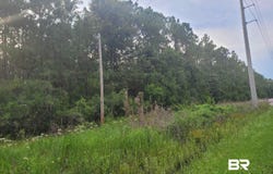 Bellingrath Road, Theodore, AL 36582
