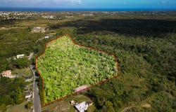 PR4459 Ceiba Alta, Aguadilla, 00603